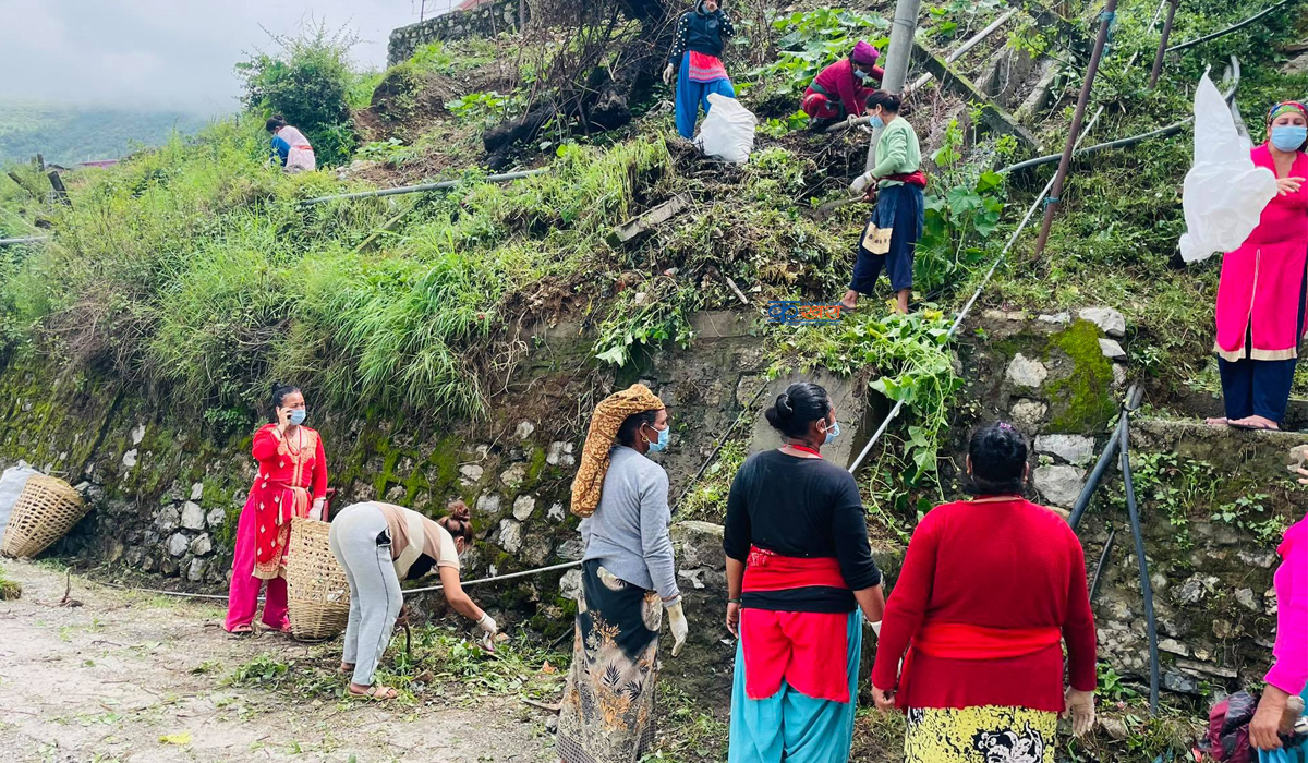 प्रधानमन्त्री रोजगार कार्यक्रम मार्फत फोहोर व्यवस्थापन गर्दै मुसीकोट